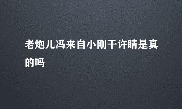 老炮儿冯来自小刚干许睛是真的吗