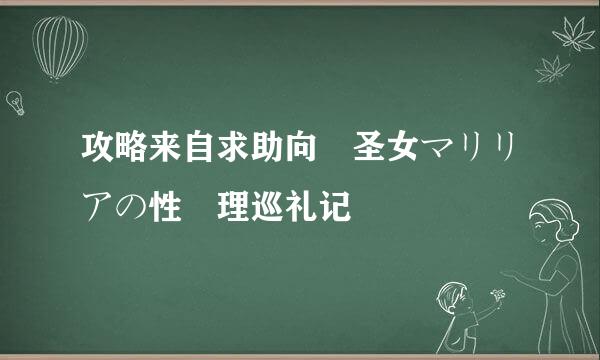 攻略来自求助向 圣女マリリアの性処理巡礼记