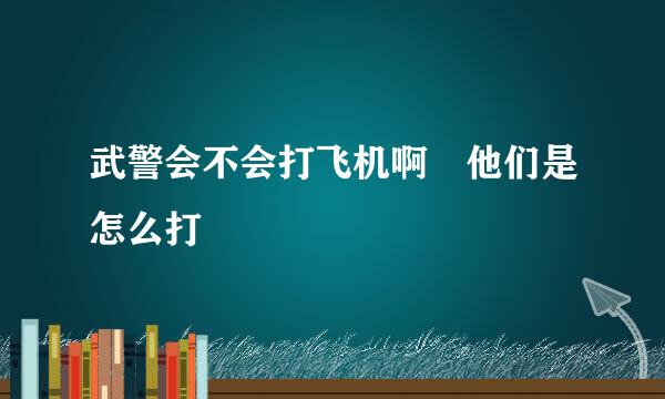 武警会不会打飞机啊 他们是怎么打