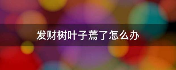 发财树叶子蔫了怎举雷简帝种欢致烟么办