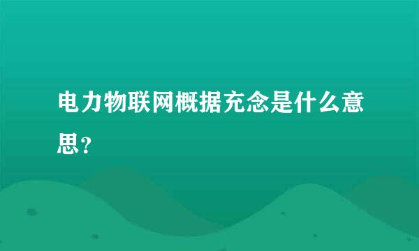 电力物联网概据充念是什么意思？