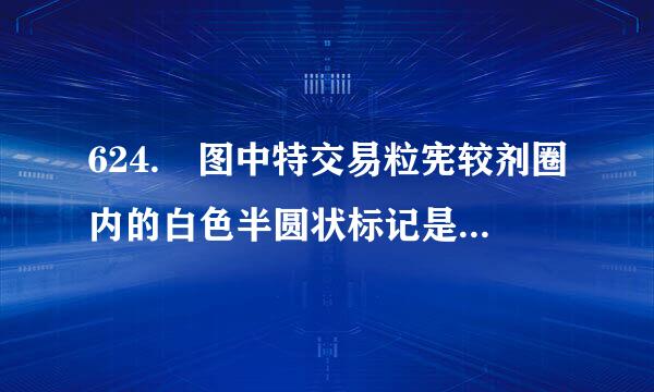 624. 图中特交易粒宪较剂圈内的白色半圆状标记是什么标线？