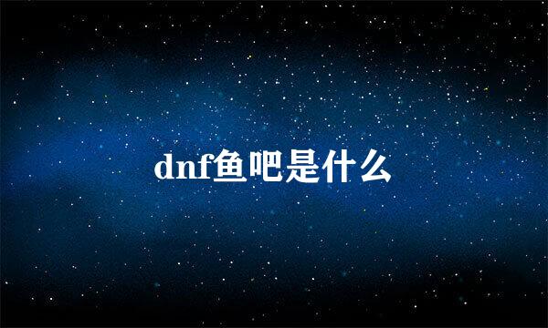 dnf鱼吧是什么