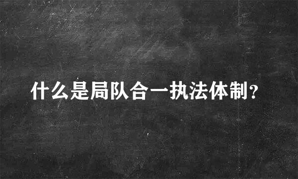 什么是局队合一执法体制？