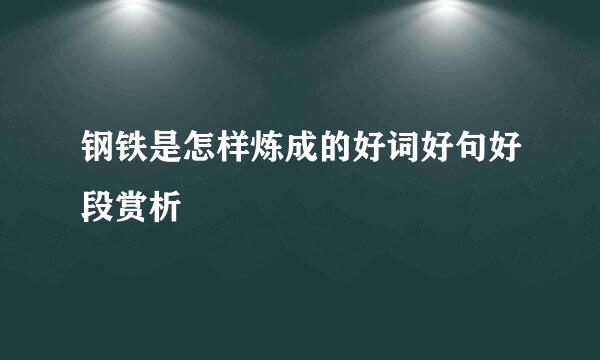 钢铁是怎样炼成的好词好句好段赏析