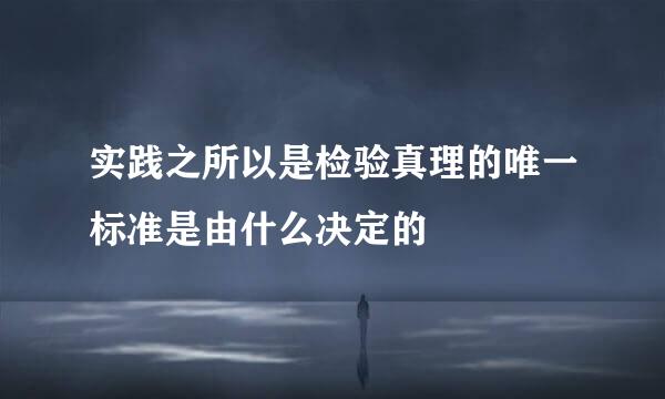 实践之所以是检验真理的唯一标准是由什么决定的