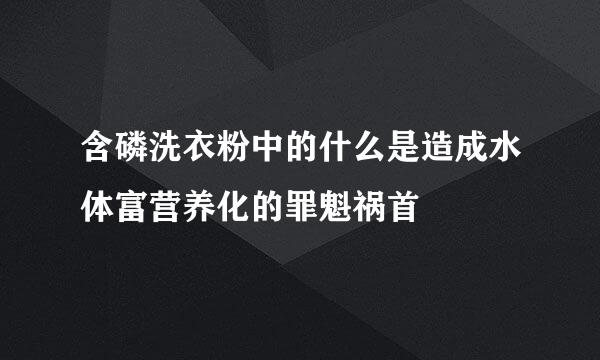 含磷洗衣粉中的什么是造成水体富营养化的罪魁祸首