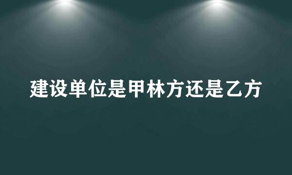 建设单位是甲林方还是乙方