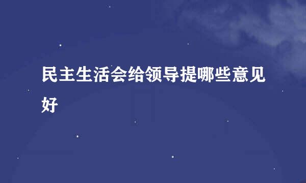 民主生活会给领导提哪些意见好