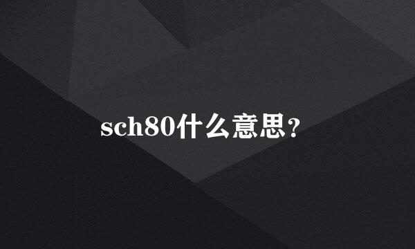 sch80什么意思？