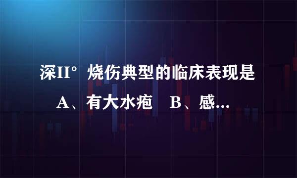 深II°烧伤典型的临床表现是 A、有大水疱 B、感觉敏感 C、创面基底发红 D、创面基底红白相间 E、创面基底呈蜡白