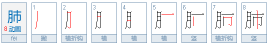 肺字的规范写法是怎么写的