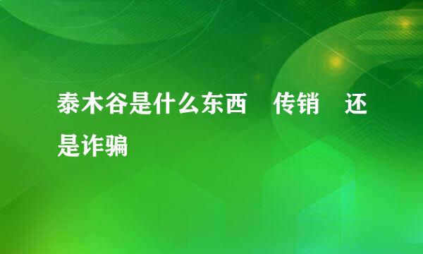 泰木谷是什么东西 传销 还是诈骗