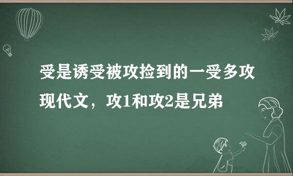 受是诱受被攻捡到的一受多攻现代文，攻1和攻2是兄弟