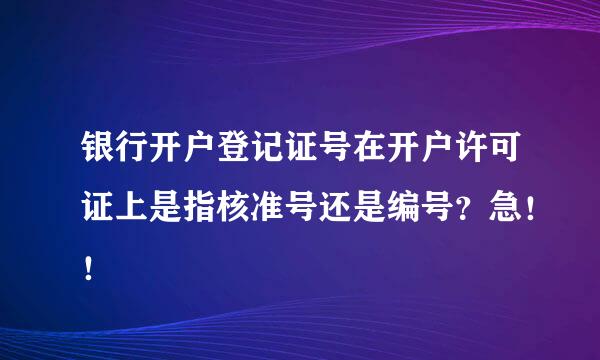 银行开户登记证号在开户许可证上是指核准号还是编号？急！！