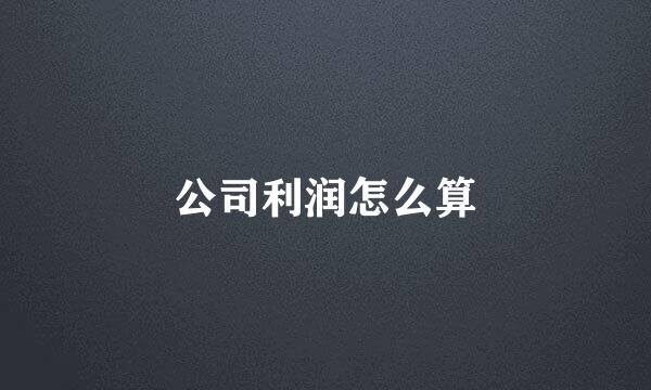 公司利润怎么算