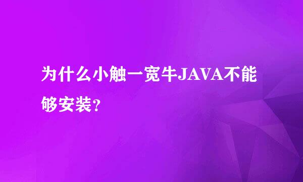 为什么小触一宽牛JAVA不能够安装？