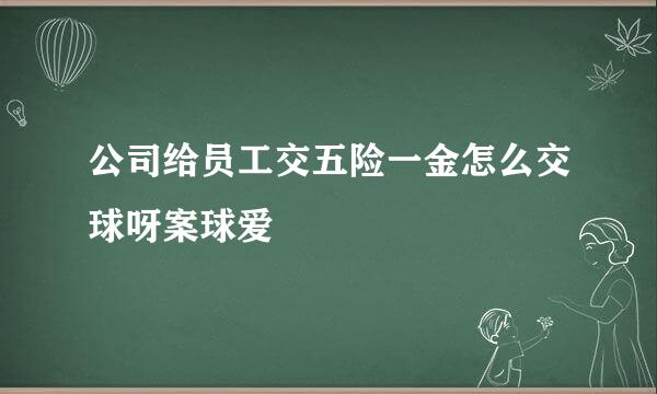 公司给员工交五险一金怎么交球呀案球爱