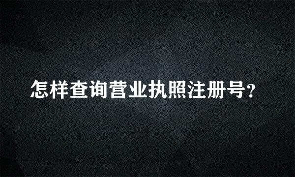 怎样查询营业执照注册号？