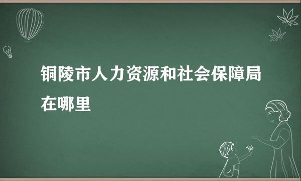 铜陵市人力资源和社会保障局在哪里