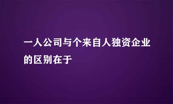 一人公司与个来自人独资企业的区别在于