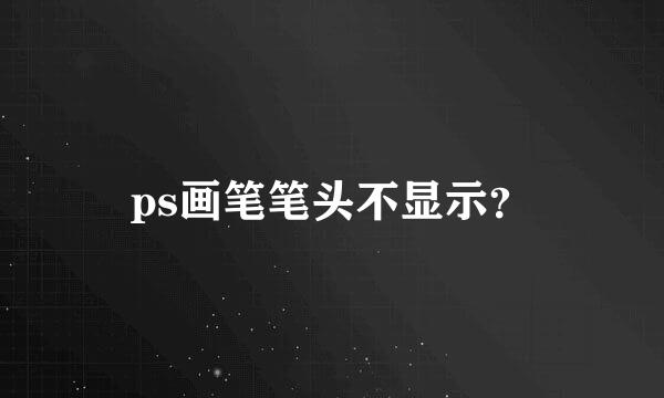 ps画笔笔头不显示？