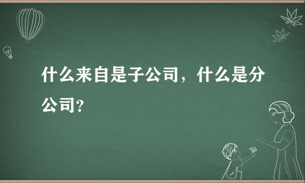 什么来自是子公司，什么是分公司？