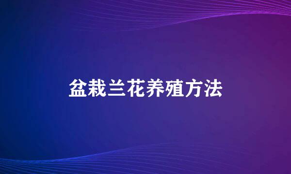 盆栽兰花养殖方法