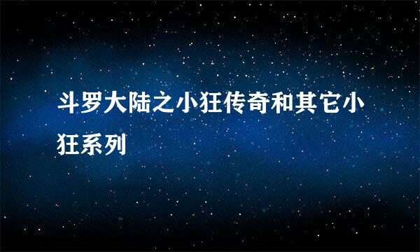 斗罗大陆之小狂传奇和其它小狂系列