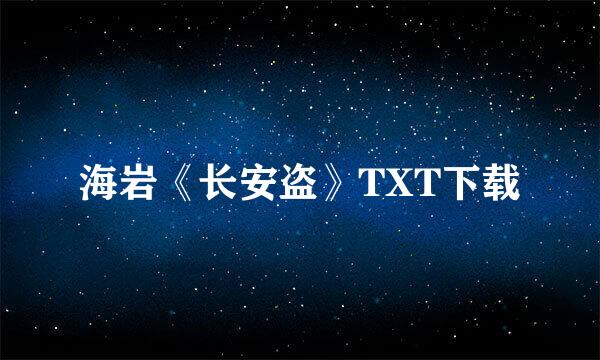 海岩《长安盗》TXT下载