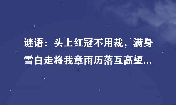 谜语：头上红冠不用裁，满身雪白走将我章雨历落互高望编来，平生不敢轻言语，一叫千门万来自户开