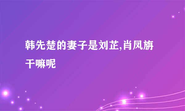 韩先楚的妻子是刘芷,肖凤旃干嘛呢