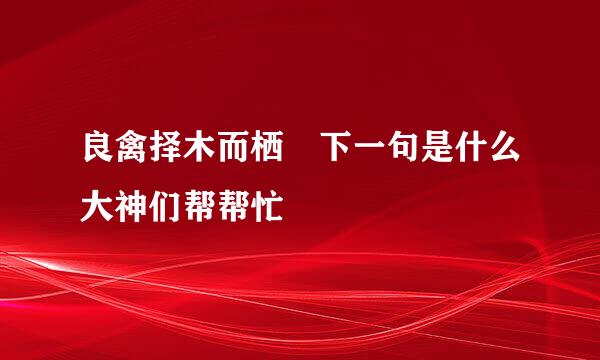 良禽择木而栖 下一句是什么大神们帮帮忙