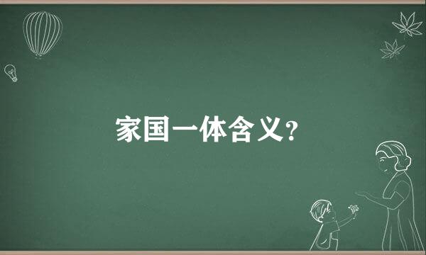 家国一体含义？