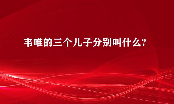 韦唯的三个儿子分别叫什么?