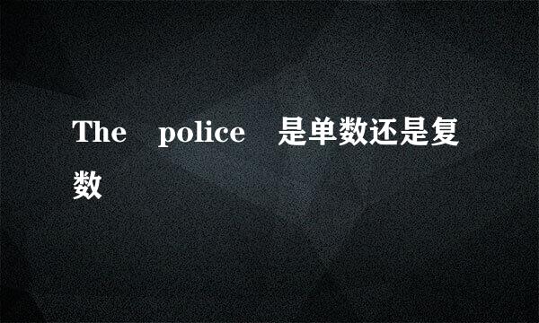 The police 是单数还是复数