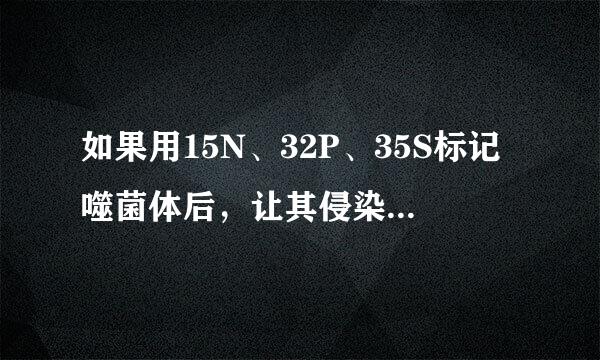 如果用15N、32P、35S标记噬菌体后，让其侵染细菌，在产生的子代噬菌体的组成成分中，能够找到的放射性元