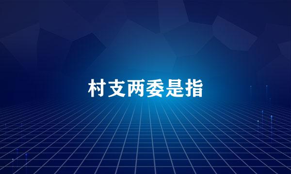 村支两委是指