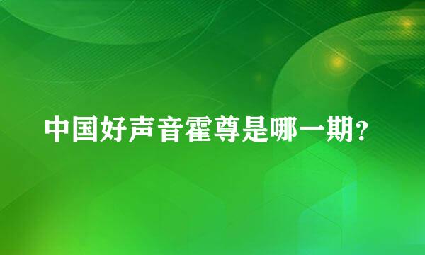 中国好声音霍尊是哪一期？