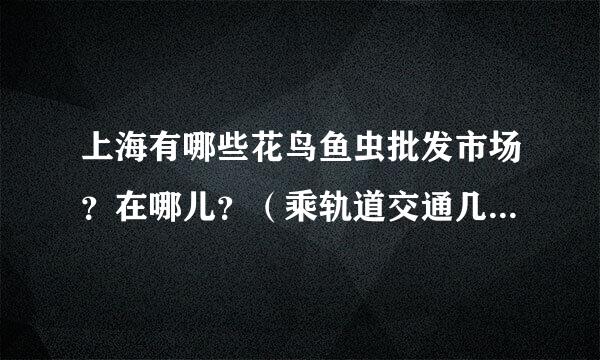 上海有哪些花鸟鱼虫批发市场？在哪儿？（乘轨道交通几号线，转几路车？）