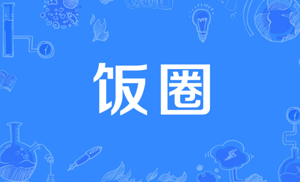 饭圈tz是什么意思