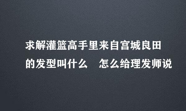 求解灌篮高手里来自宫城良田的发型叫什么 怎么给理发师说