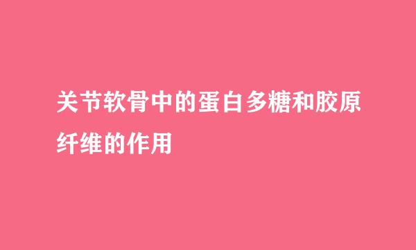 关节软骨中的蛋白多糖和胶原纤维的作用