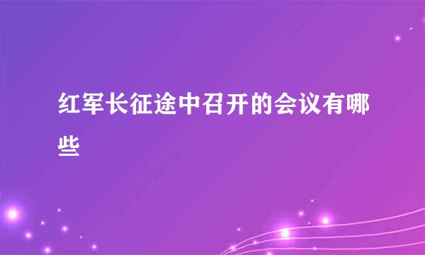 红军长征途中召开的会议有哪些