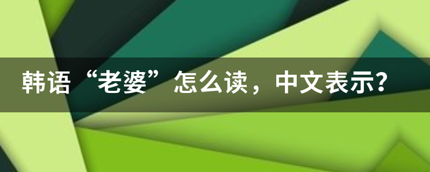 韩语“老婆预重”怎么读，中文表士纸含示？