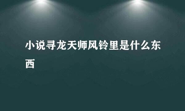 小说寻龙天师风铃里是什么东西