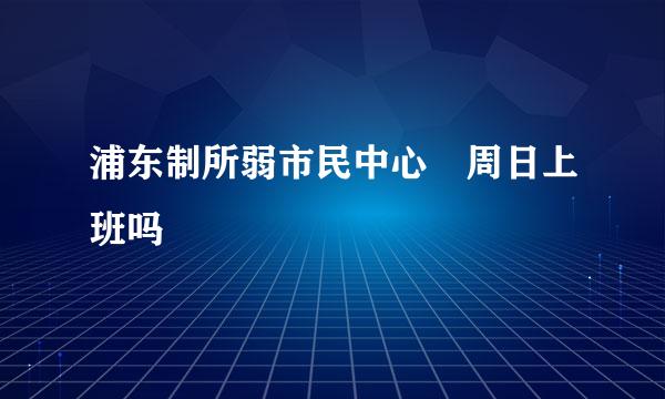 浦东制所弱市民中心 周日上班吗