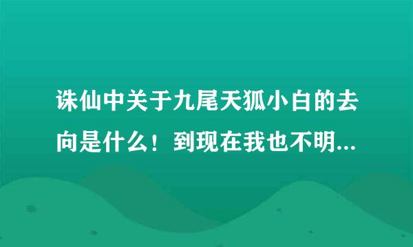 诛仙中关于九尾天狐小白的去向是什么！到现在我也不明白，求解！