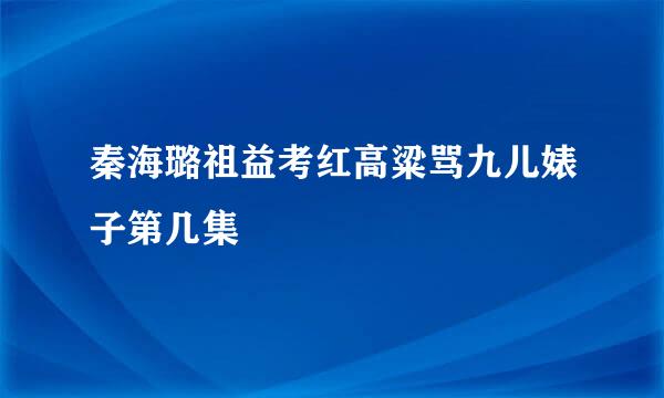 秦海璐祖益考红高粱骂九儿婊子第几集