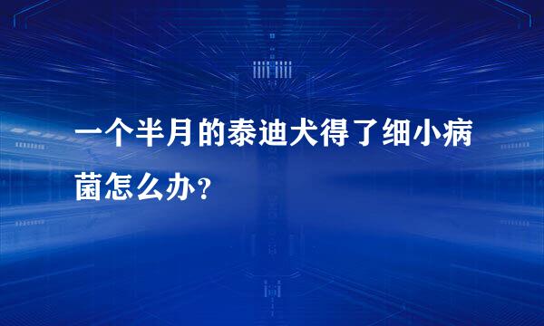 一个半月的泰迪犬得了细小病菌怎么办？